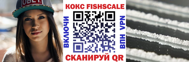 Купить закладки  Беслан  Cocaine Fish Scale 