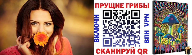 Псилоцибиновые грибы Cubensis  Купить закладки  Беслан 